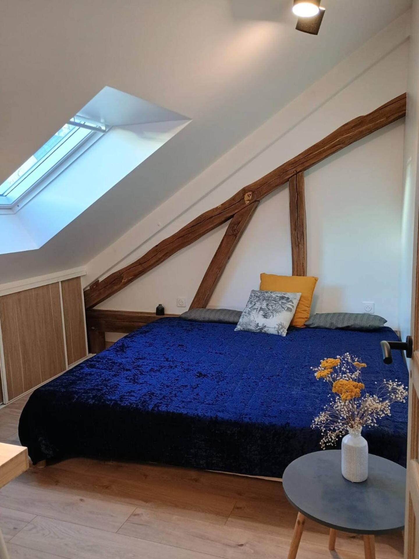 Domaine De Charme Au Coeur D'Orleans Classe 3 Etoiles - Bords De Loire - 21 Couchages Avec Parkings Prives Екстериор снимка